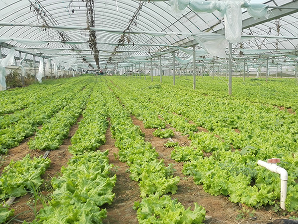 ��Ҫ�߲��䷽ʩ�ʼ������ο���