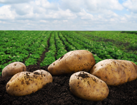 �޹�������������������̣���...