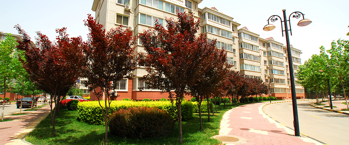 �ӱ�MG���ӷ��ز������������޹�˾