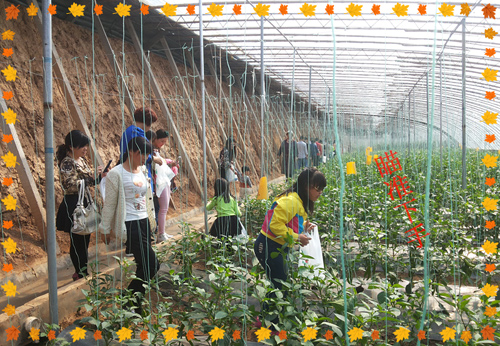 MG���ӡ������׸���ժ��ʵ