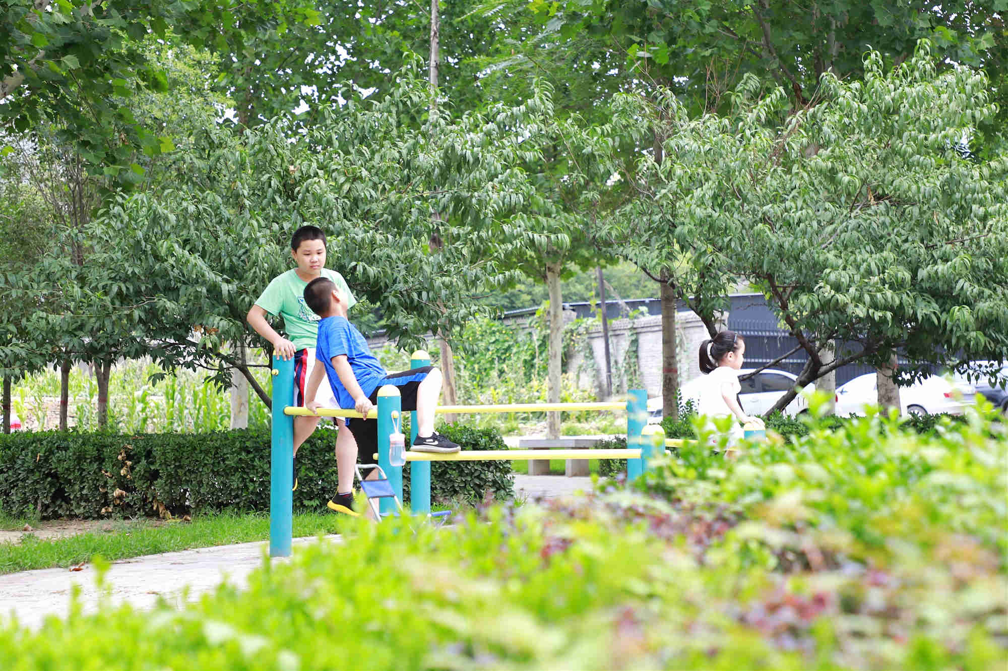 ��ɽͥԺ�̻�����