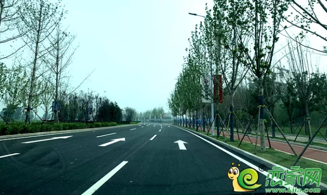 MG����(�й���)����ٷ���վ