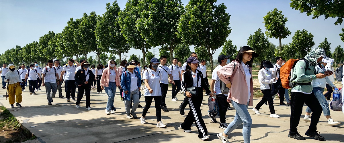 MG����(�й���)����ٷ���վ